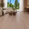 Codex floor trends 20260930 v2 fsan11.