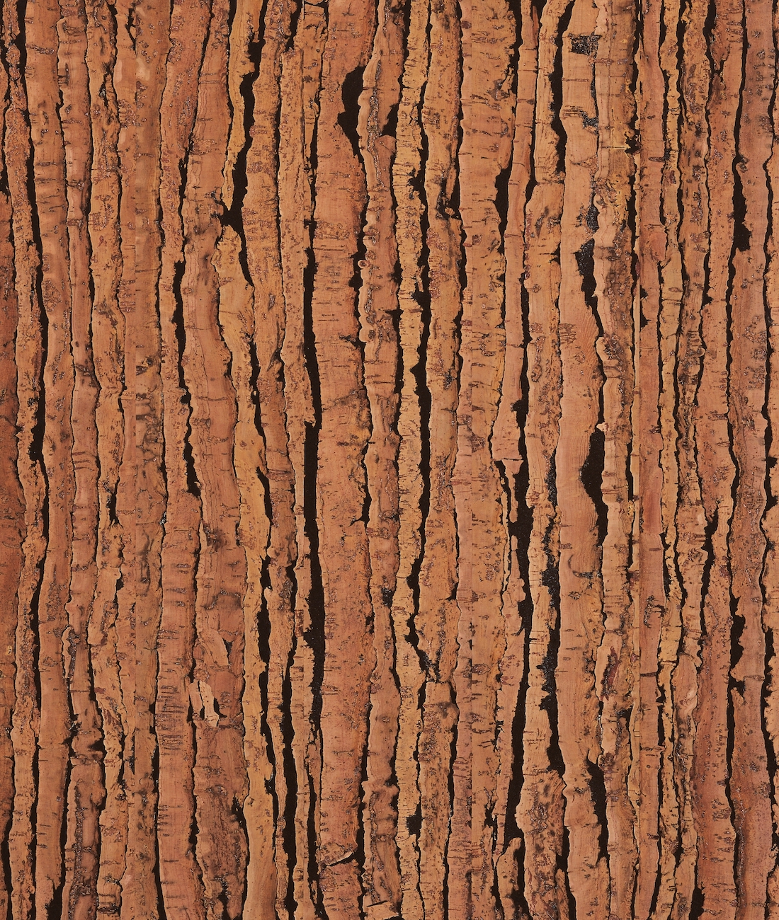 Cancork