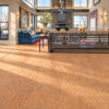Berber Modern Loft with Cork Flooring.