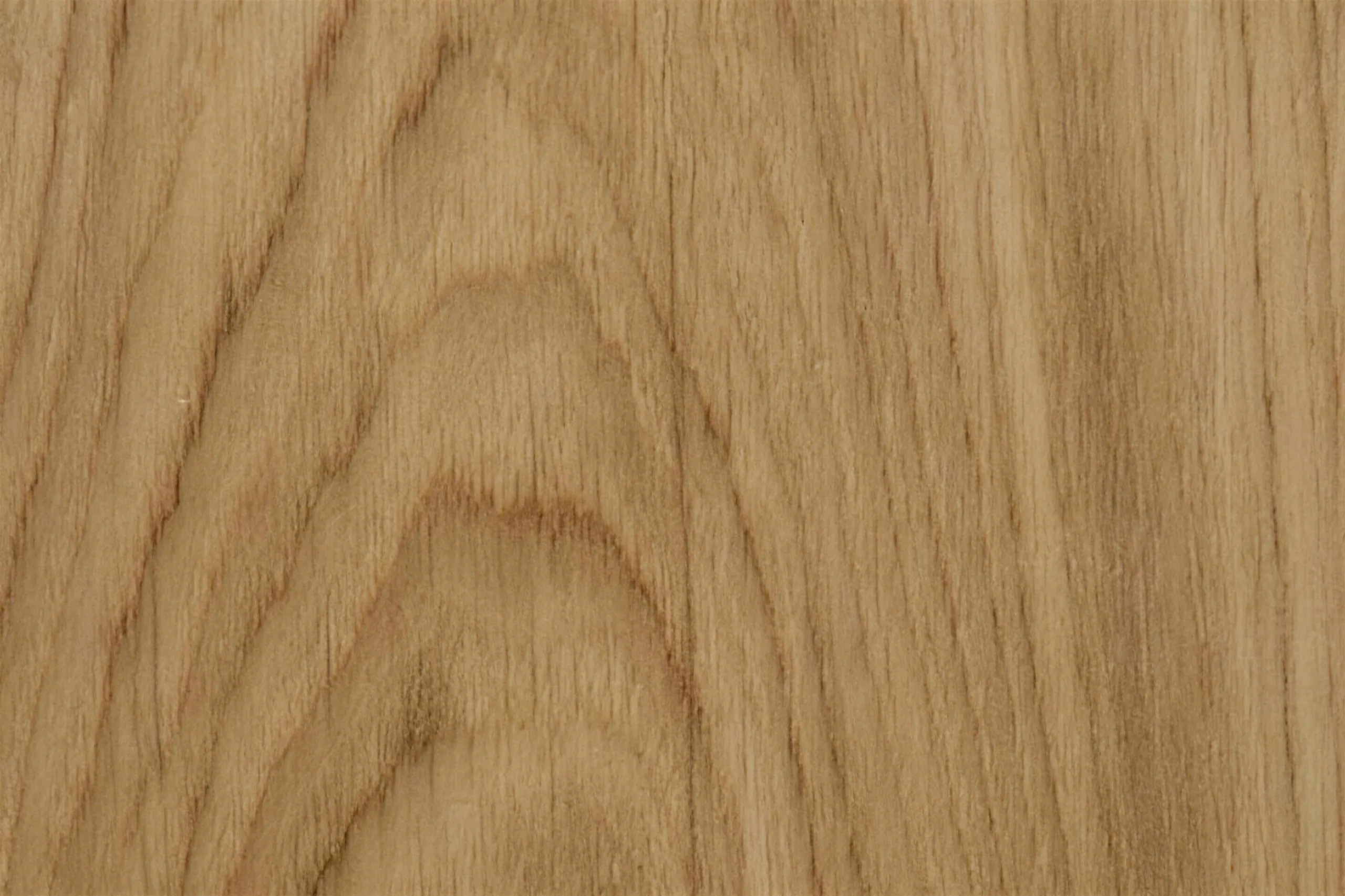 Forest - 3/8" (9.70mm) - Swiss Real Wood Cork Floating (FFor9.7) Forest - 3/8" (9.70mm) - Swiss Real Wood Cork Floating