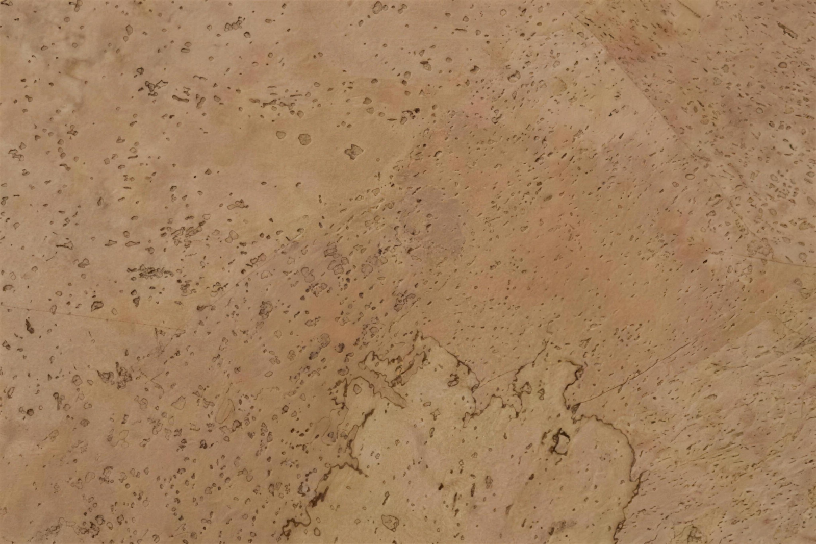 Cancork 1433 swatch 4k.