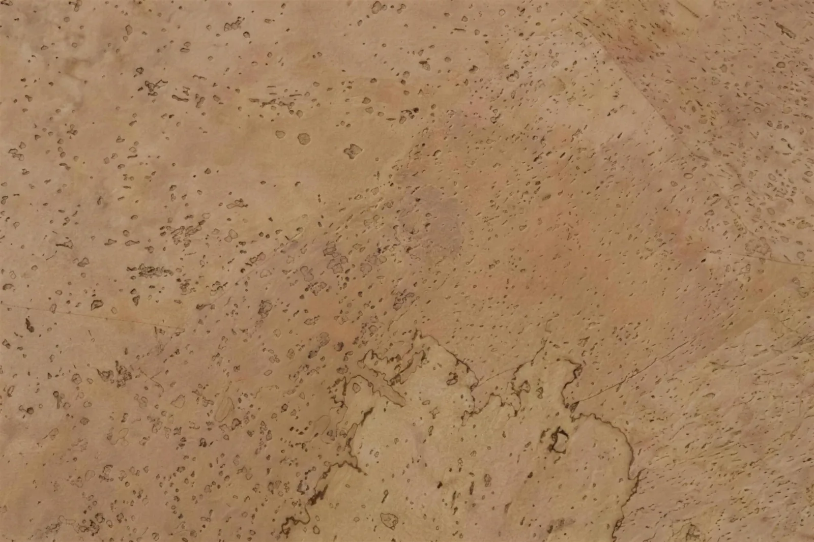 Cancork 1433 swatch 4k.