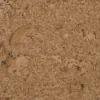 Cancork 1443 swatch v3.