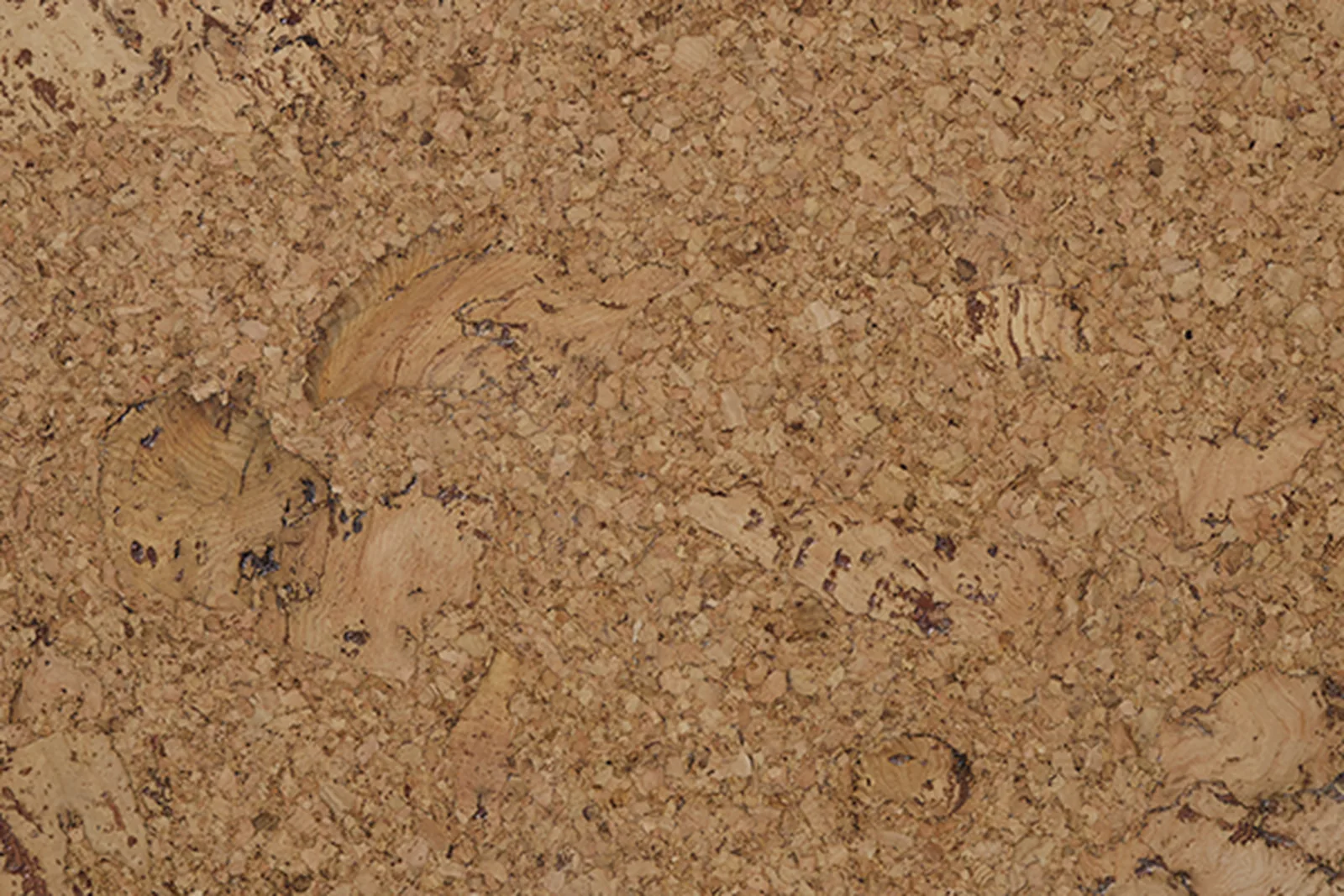 Cancork 1443 swatch v3.
