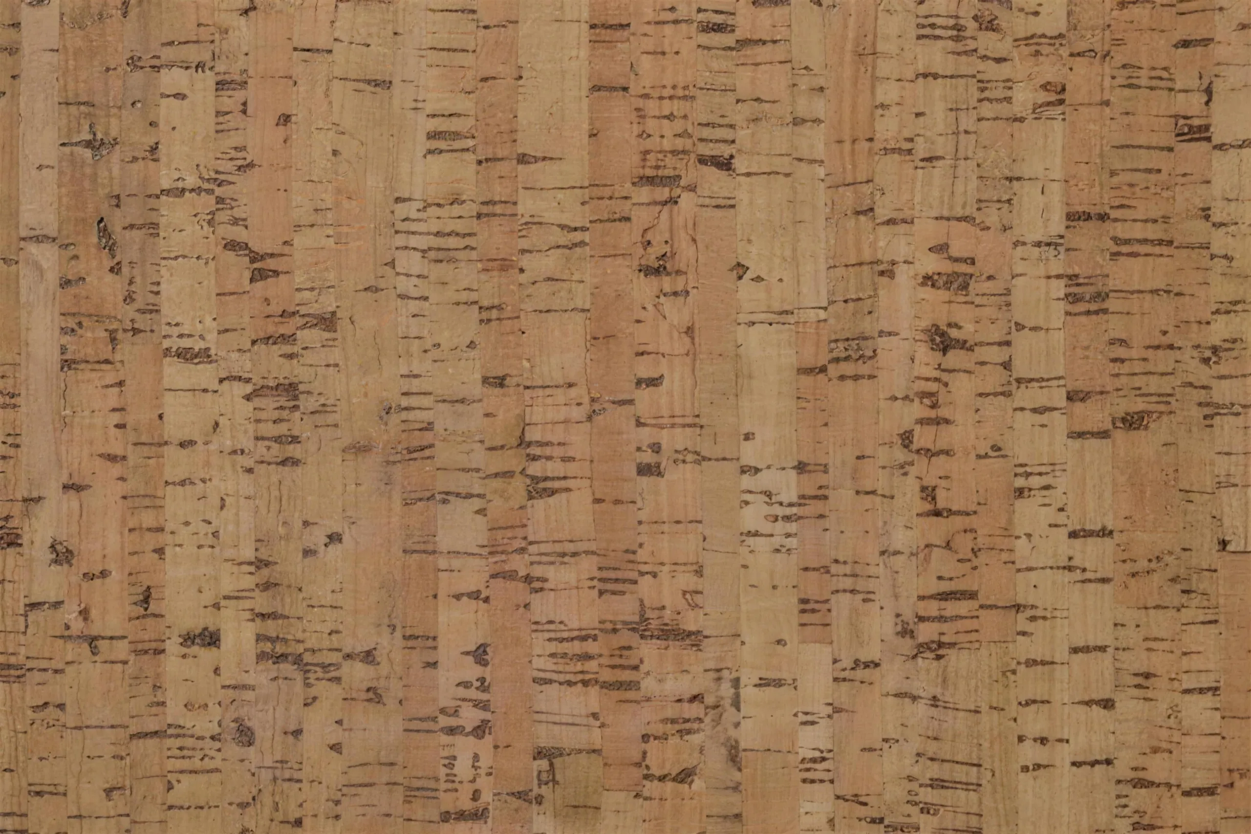 Silver Birch - 1/2" (12mm) - Cork Floating (FSB12) Silver Birch - 1/2" (12mm) - Cork Floating
