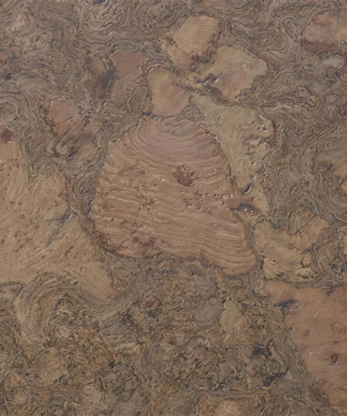 Walnut Burlwood – 12mm (1/2″) (Cork Floating)