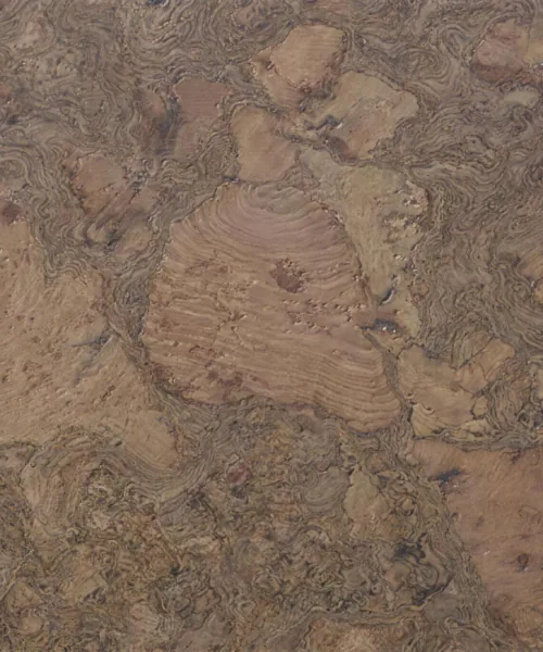 Walnut Burlwood - 1/2" (12mm) - Cork Floating