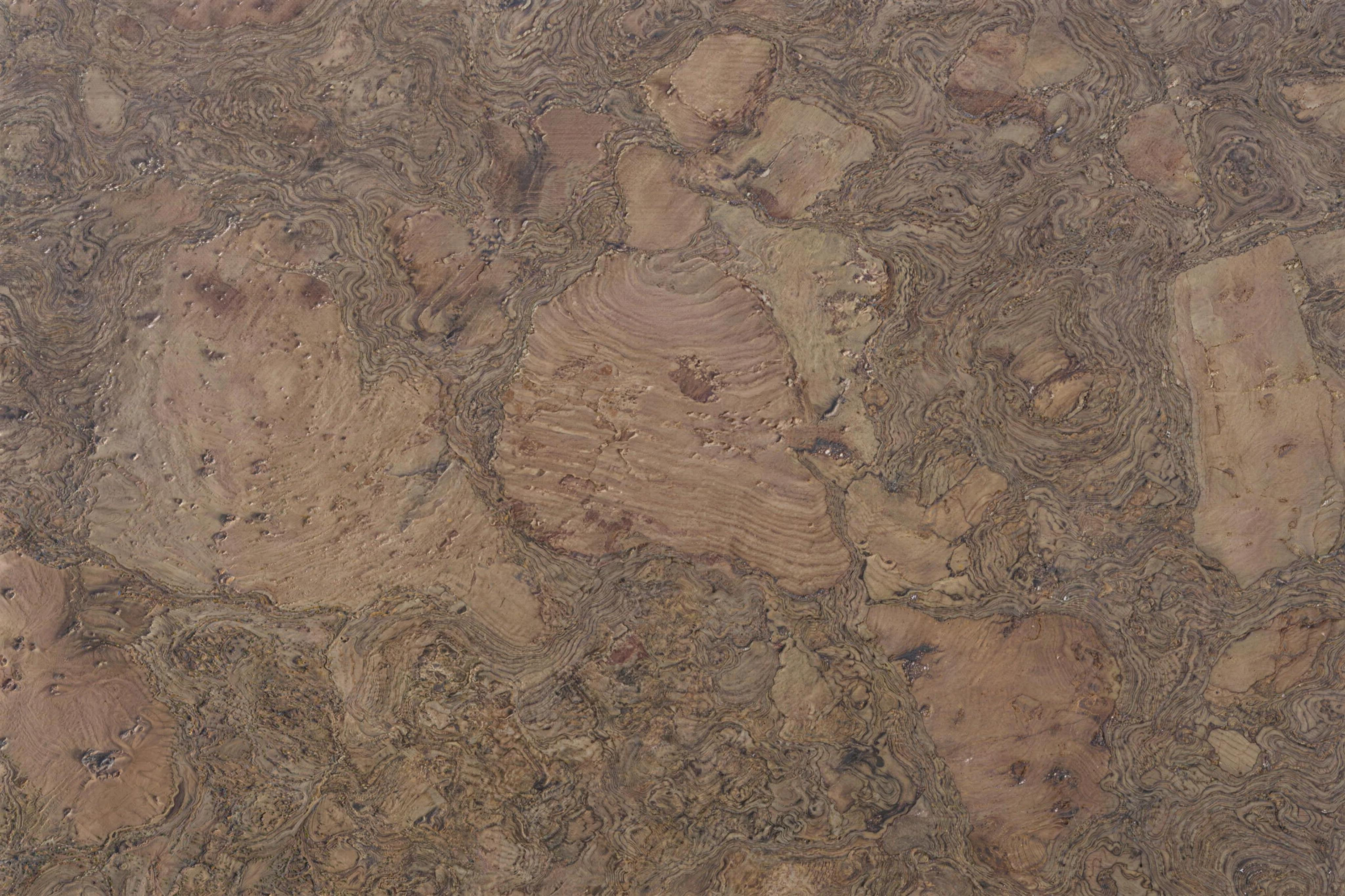 Walnut Burlwood - 1/2" (12mm) - Cork Floating (FWBu12) Walnut Burlwood – 12mm (1/2″) (Cork Floating)