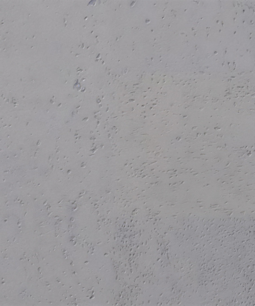 White Leather – 12mm (1/2″) (Cork Floating)