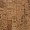 Cancork 160932 swatch 4k.