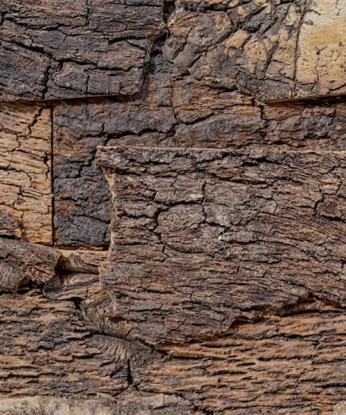 Cork Bark - 63/64" (25mm) - 3D Acoustic Cork Wall Panels