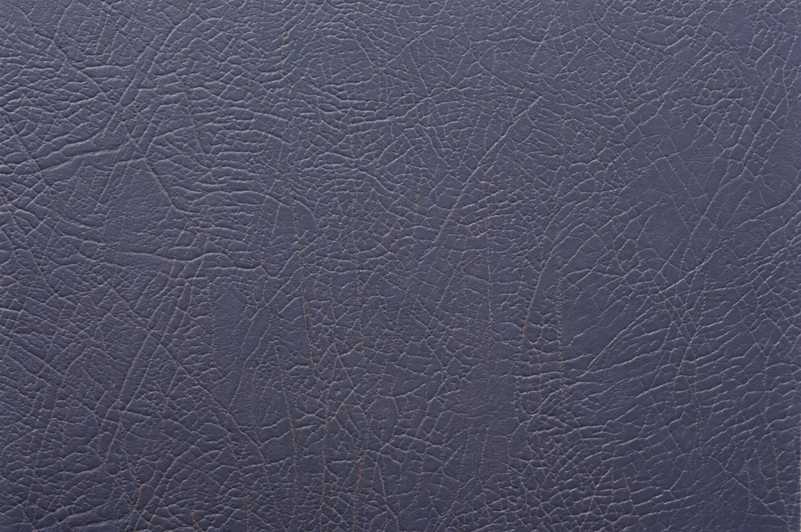 Cancork 170808 swatch 4k.
