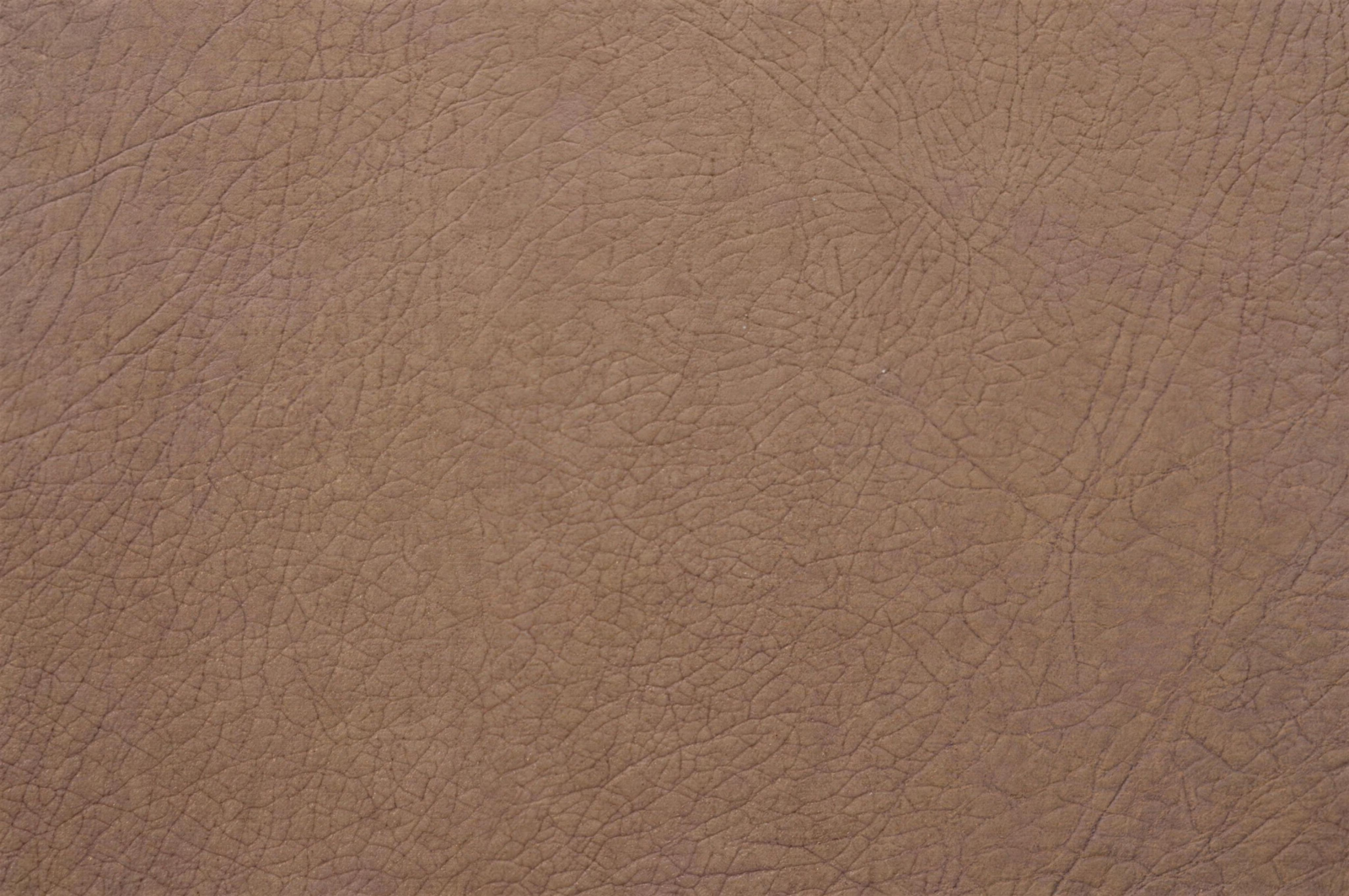 Cancork 170825 swatch 4k.
