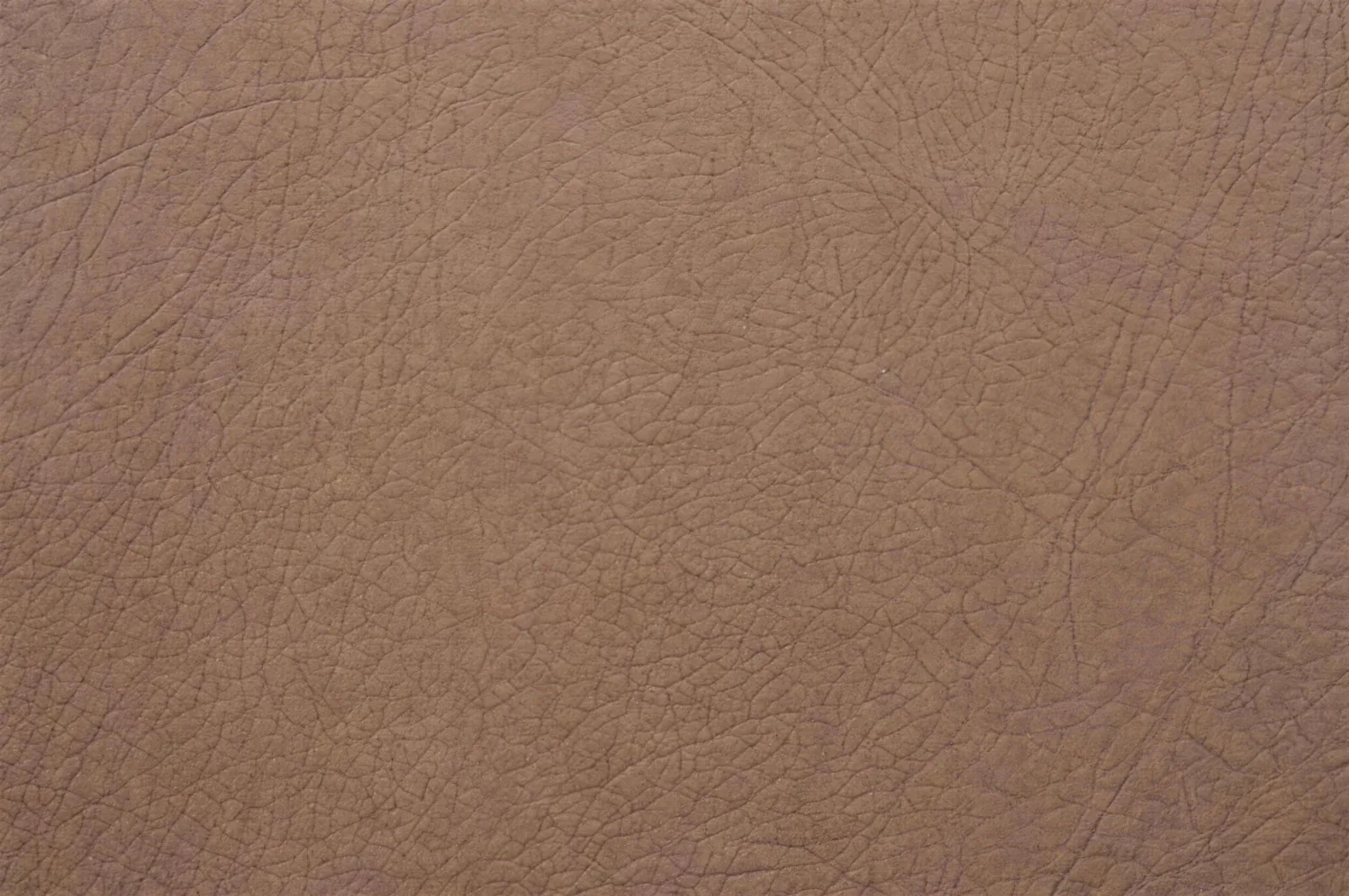 Cancork 170825 swatch 4k.