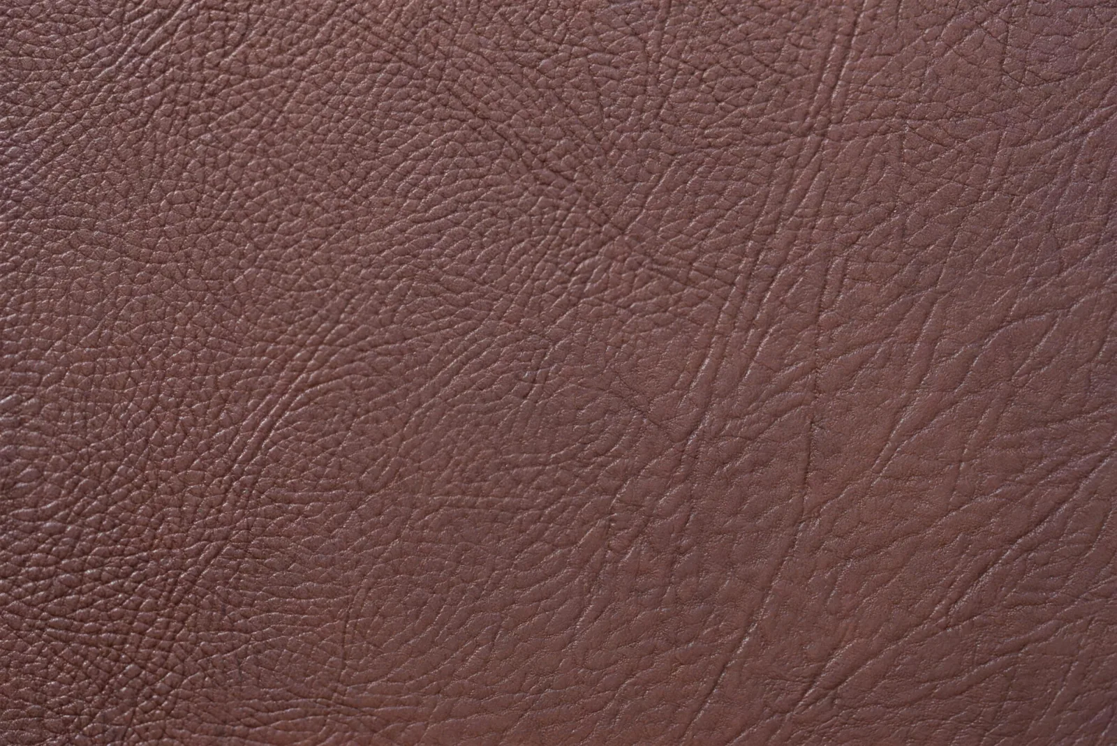 Cancork 170829 swatch 4k.