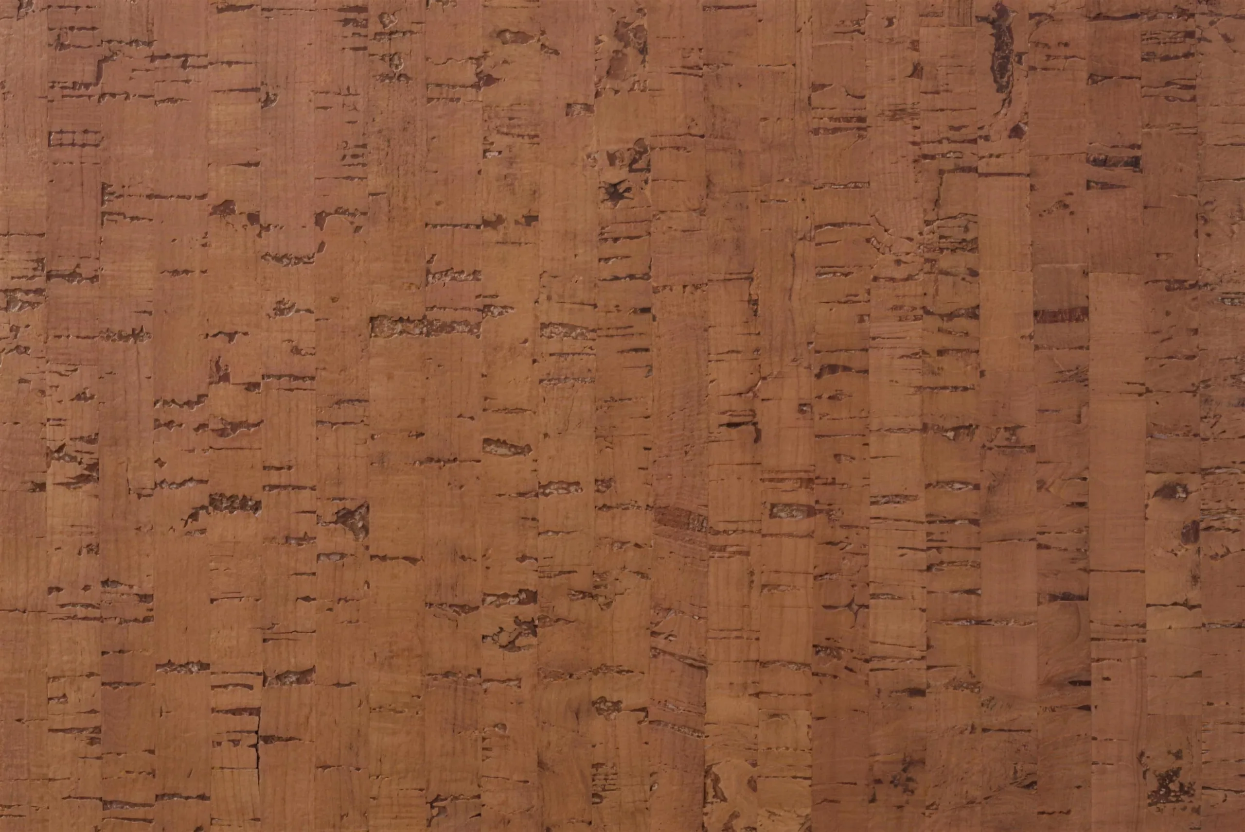 Timber Birch - 1/2_ (12mm) Cork Floating (FTimB12) Timber Birch - 1/2_ (12mm) Cork Floating
