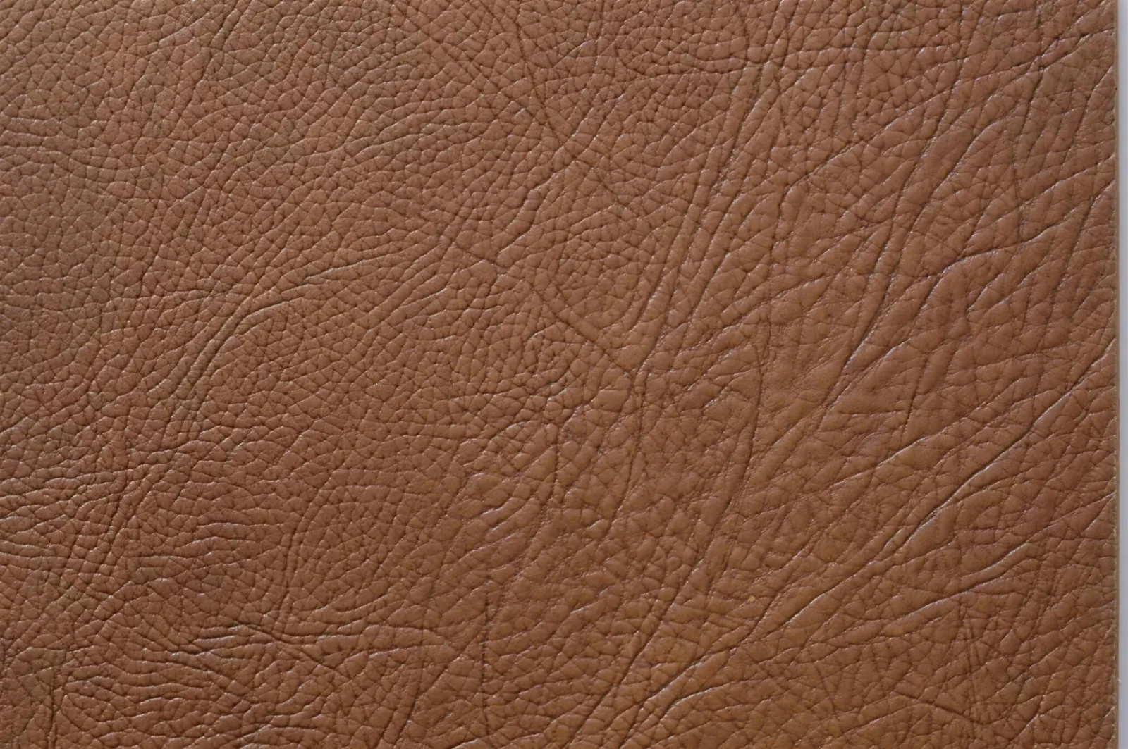 Cancork 177983 swatch 4k 1.
