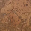 Cancork 4971 swatch 4k.