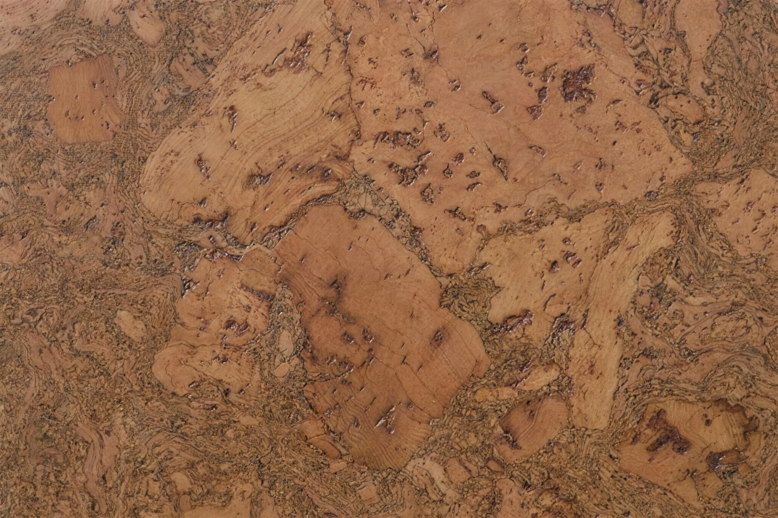 Tasmanian Burl - 1/2" (12mm) - Cork Floating (FTBu12) Tasmanian Burl - 1/2" (12mm) - Cork Floating