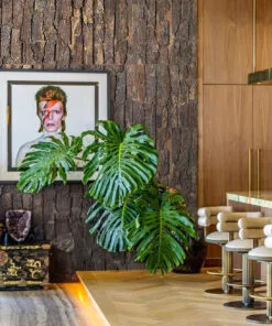 Cork Bark - 63/64” (25mm) - 3D Acoustic Cork Wall Panels (WCB25) - 3D Cork Wall and Ceiling Panels with MDF flooring de...