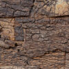 Cork bark natural cork wall panel texture.