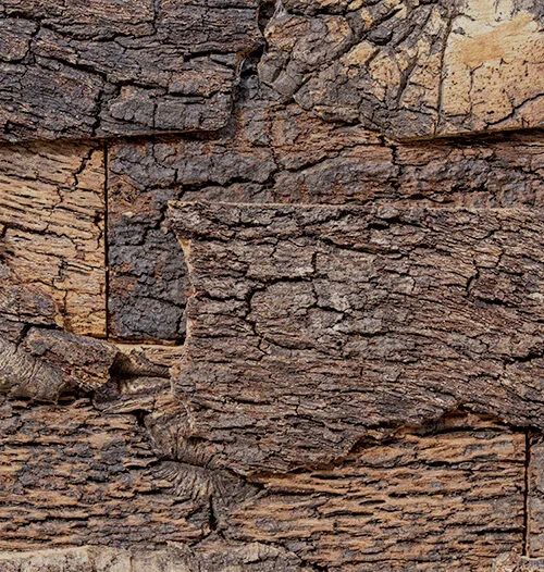 Cork bark natural cork wall panel texture.