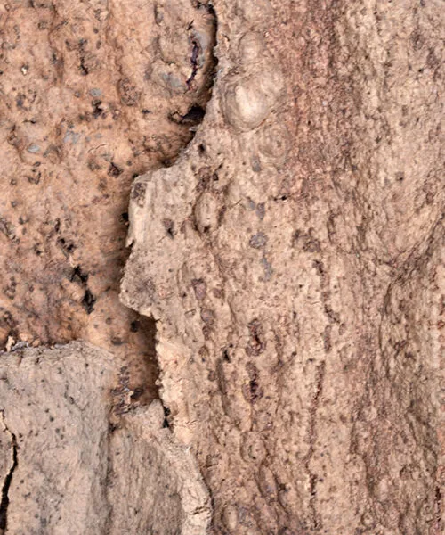 EarthHue – 1 – 30mm (1 3/16″) (Wall Tile) - Image 3