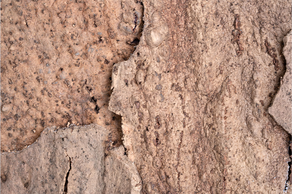 EarthHue - 1 3/16" (30mm) - Acoustic Cork Wall Panels (WEthHu30) EarthHue – 1 – 30mm (1 3/16″) (Wall Tile) - Image 2