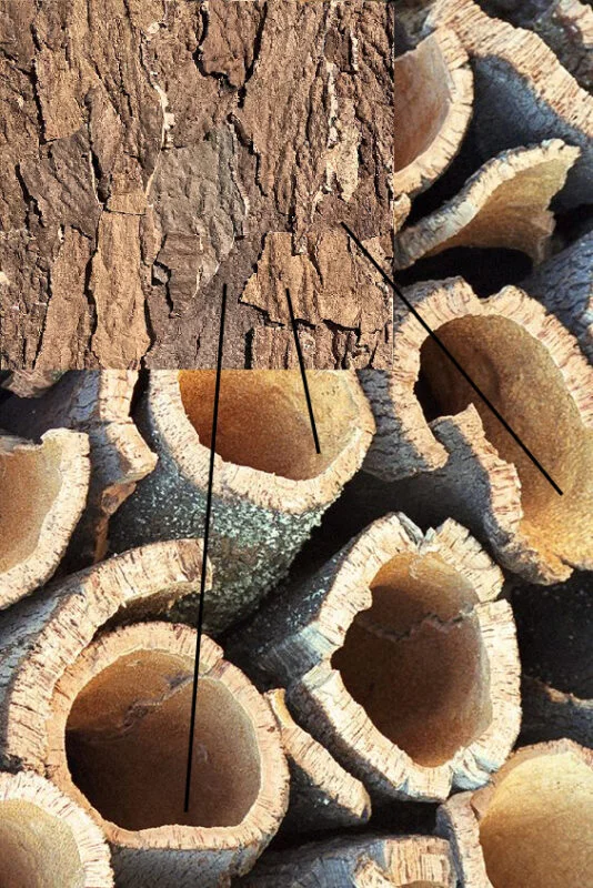 Acoustic cork wall panel cross-section showing the textured natural bark face and the inner cork layer