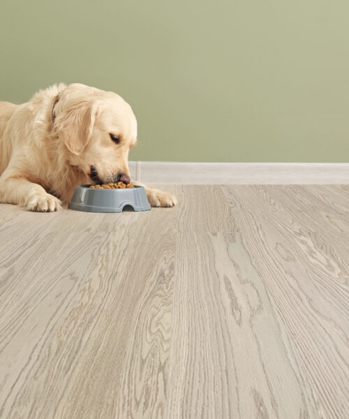 meadow real wood design flooring for dog