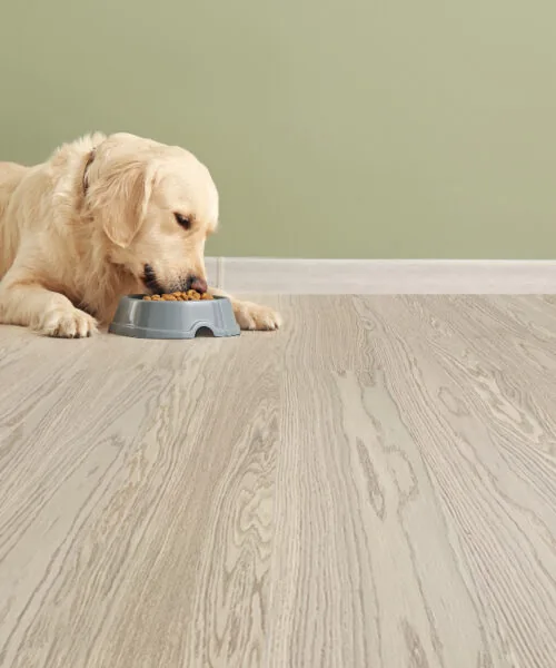 Meadow - 3/8" (9.70mm) - Swiss Real Wood Floating (FMea9.7) meadow real wood design flooring for dog