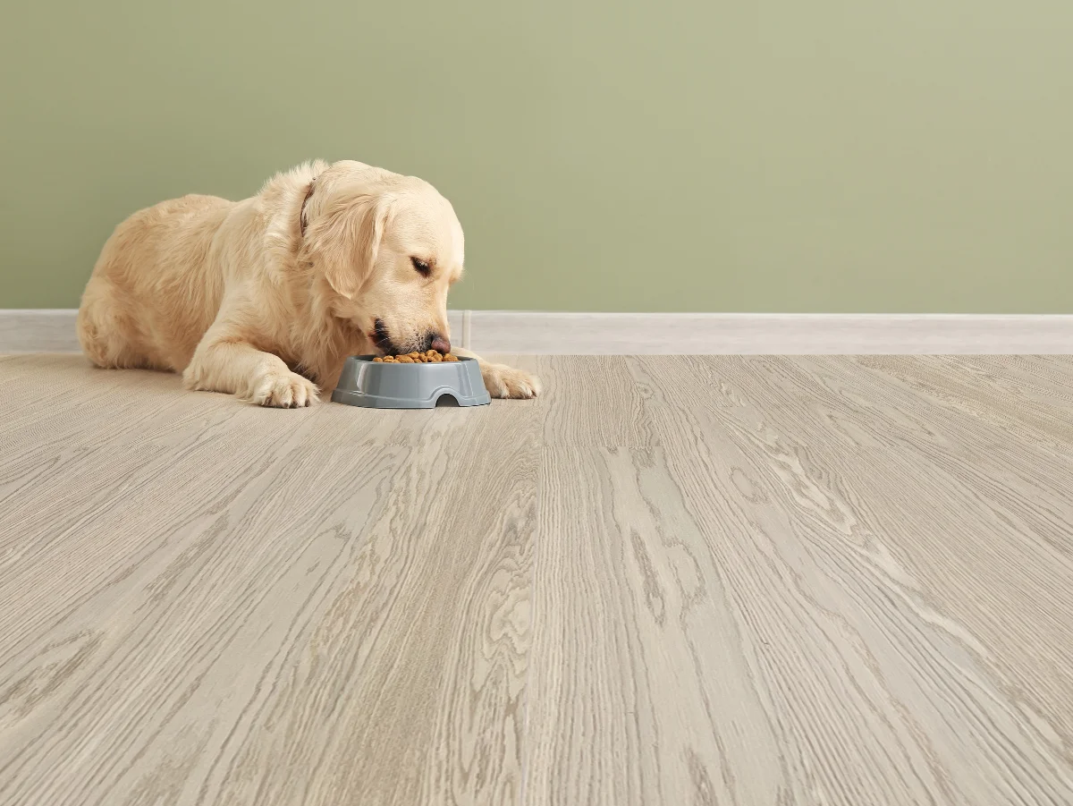 Meadow - 3/8" (9.70mm) - Swiss Real Wood Floating (FMea9.7) meadow real wood design flooring for dog