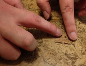 repair cork floor damaged tiles