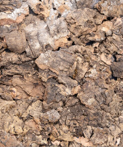 Real cork bark wall panels that add natural texture, warmth, and acoustic performance to residential and commercial interiors.