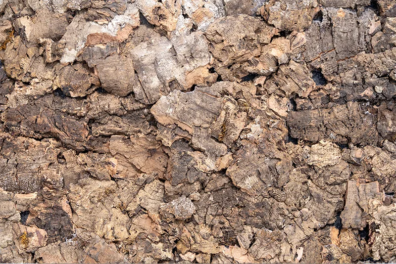 Real cork bark wall panels that add natural texture, warmth, and acoustic performance to residential and commercial interiors.