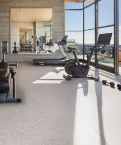 Home gym with exercise equipment on light gray cork flooring, bright natural light and modern glass walls