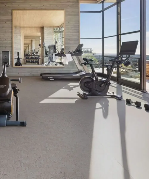 Home gym with exercise equipment on light gray cork flooring, bright natural light and modern glass walls