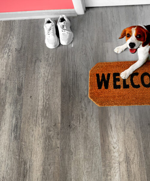 wild oak cork design flooring sustainable flooring for modern interiors