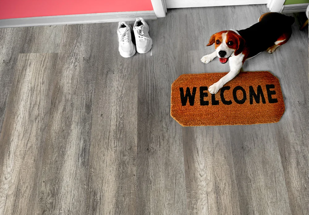 wild oak cork design flooring sustainable flooring for modern interiors